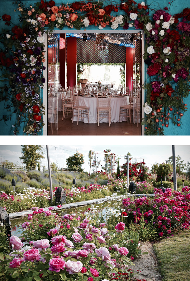 ilovebrides.pt Aal Cachucho